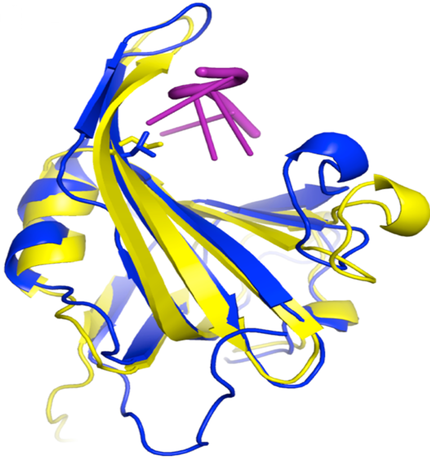 Image of protein structure