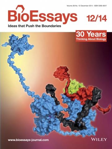 BioEssays cover image-Dec 2014